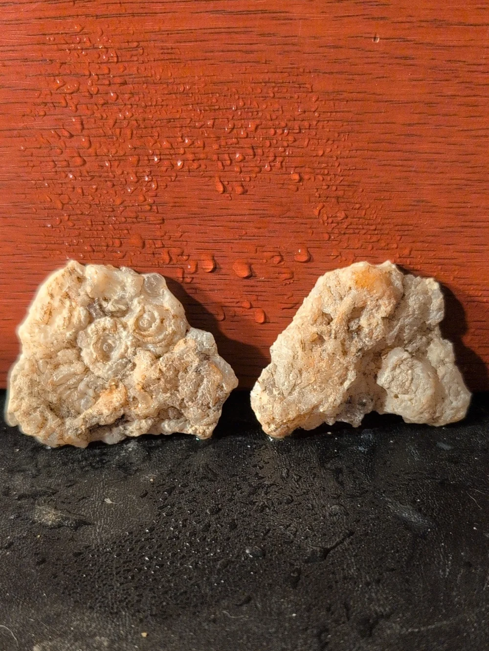 Agate #31